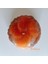 Turta Mum (Mandalina ) 2