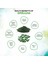 Spirulina Micro-Algae 380 Premium Mineral Sodium Sodyum Vitamin A As Beta Carotene Immune 2