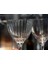 Classic Cocktails "Nick & Nora" Kokteyl Kadehi - Optic - 160 ml - 6'lı Set 4