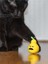 Kedi Ödül Oyuncağı – Sallanan Armut Şekilli 2