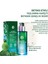 Cilt Serumu - Yaşlanma Karşıtı Bitkisel Antioksidan Bakım / Elixir Botanique Detoks Etkili 50 ml 2