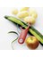 Patates Soyacağı Kırmızı (VT 7.6073) 2