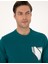 Erkek Zümrüt Regular Fit Sweatshirt 50317750-VR055 2