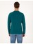 Erkek Zümrüt Regular Fit Sweatshirt 50317750-VR055 5