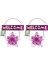 2 Adet Balkon ve Bahçe Hoşgeldiniz Tabelası Pembe Çiçekli 26X20X0,2CM Duvar Süsü Balkon,bahçe ve Oda Dekor Hoşgeldiniz Tablo,tabela 1