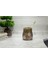 2 Adet Diş Fırçalık Altın Puanlı Poliresin 9X9X10CM Banyo Seti 4