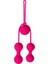 Redvil Kegel Vajinal Top Seti Pembe 16,5 cm 2