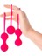 Redvil Kegel Vajinal Top Seti Pembe 16,5 cm 3