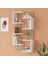 Shelf 22 Duvar Rafı Sepet-Beyaz WL22-SW 2