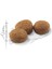 Sterilised37 Kısırlaştırılmış Kediler için Kuru Kedi Maması 2kg 5