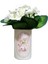 2 Adet Vazo Dahil,vazoda Çiçek,beyaz Yapay Çiçek,vazo Dekoratif Bahar Desenli 7X7X16CM 5