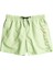 All Day Heritage Lb Erkek Volley Short 1