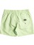 All Day Heritage Lb Erkek Volley Short 7