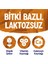 Badem Sütü 2x1L - Laktozsuz, Glutensiz, Kalsiyum ve Vitamin Kaynağı, Bitki Bazlı İçecek, Belçika Üretimi 11