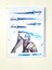 Genshin Impact Ayato Sticker Seti 5