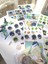 Genshin Kinich Sticker Seti (1 Paket 55 Adet Sticker) 3