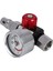 3pc 1/4 Inç Bsp Mini Hava Regülatör Vanası Aracı Dayanıklı Küçük Kuyruk Basınç Göstergesi 48 x 60MM Püskürtme Aracı Için Nozul ile (Yurt Dışından) 4