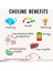 Choline & Inositol 500/250 Mg, Kolin Inositol Relax Mood Neurotransmitter Brain Health Energy Zihin 2