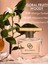 Giordani Gold Miss Giordani Eau De Parfum 50 ml Yeni Ambalaj 47513 8