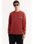 Erkek Kiremit Bisiklet Yaka Pamuklu Bi-Stretch Baskılı Regular Fit Sweatshirt A52Y1260 5
