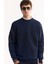 Erkek Lacivert Bisiklet Yaka Çizgili Jakarlı Regular Fit Sweatshirt A52Y1220 2