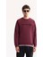 Erkek Mürdüm Bisiklet Yaka Pamuklu Bi-Stretch Baskılı Regular Fit Sweatshirt A52Y1249 1