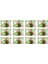 Yaprak Sarma 400 gr x 12 Adet 2