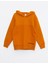 Lcw Kids Sarı Kapüşonlu Kapitone Desenli Uzun Kollu Erkek Çocuk Sweatshirt 1