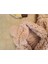 'dan Beniz Bebe Welsoft Kuzu Kumaş 1-3 Yaş Bebek Tulum 3