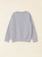 Lcw Kids Gri Bisiklet Yaka Baskılı Uzun Kollu Erkek Çocuk Sweatshirt 2