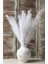 10’lu Beyaz Pampas Çiçeği 70 cm 1