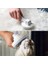 Buffer® Basmalı Kedi Köpek Tüy Toparlayıcı Masaj Etkili Pet Fırçası 4