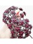 Hoya Pubicalyx Red Buttons Mum Çiçeği H165 1