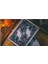 King Star Death Knight Abyss Premium Oyun Kağıdı Koleksiyonluk Iskambil Kartları 5