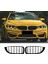 Bmw F33 2014-2019 Cabrio 4.seri M4 Ön Panjur.ön Böbrek 1