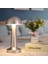Buffer® Mantar Model Silver Renk Şarjlı Dokunmatik 3 Renkli LED Masa Lambası 2