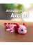Articulating Axolotl – Pembe 3D Baskı Hareketli Axolotl Figür, Eklemli Fidget Oyuncak, Koleksiyonluk Masaüstü Dekor, Çocuklar Için Eğlenceli Oyuncak, Anahtarlık 2