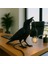 3D Lab Decorative Karga Figurlu Dekoratif Masa Lambasi - Siyah Moder 1