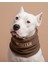 Isme Özel Köpek Kıyafeti Köpek Polar Boyun Koruyucu Köpek Bandana Köpek Boyunluk Köpek Atkısı Kışlık 1