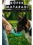 Taşınabilir Köpek Su Matarası Evcil Hayvan Su Matarası 350ML Casapetra 1