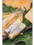 Bio Natura Bush Raspberry & Netttle Katı Sabun 250gr | Yumuşatıcı |Ahududu ve Isırgan Otu 6
