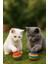 Kedi ve Köpek Oyun Topu Renkli - 2 Adet Casapetra 3