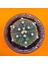 Astrophytum Asterias 6 cm Özel Tür Kaktüs 1