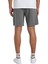 Union Heather Amph 19 Erkek Walkshort 7