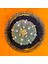 Astrophytum Asterias 5,5 cm Boyutunda Özel Tür Kaktüs 1