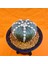 Astrophytum Ooibo 5 cm Yükseklik 8 cm Boyutunda Özel Tür Kaktüs 3