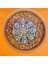 Astrophytum V-Cactus 4 cm Boyutunda Özel Tür Kaktüs 1