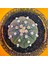 Astrophytum Star Shape 5,5 cm Boyutunda Özel Tür Kaktüs 1