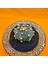 Astrophytum Asterias 4,5 cm Boyutunda Özel Tür Kaktüs 2