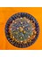 Astrophytum Asterias 4,5 cm Boyutunda Özel Tür Kaktüs 1